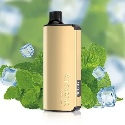 Alibarbar Ingot 9000 Puffs Cool Mint